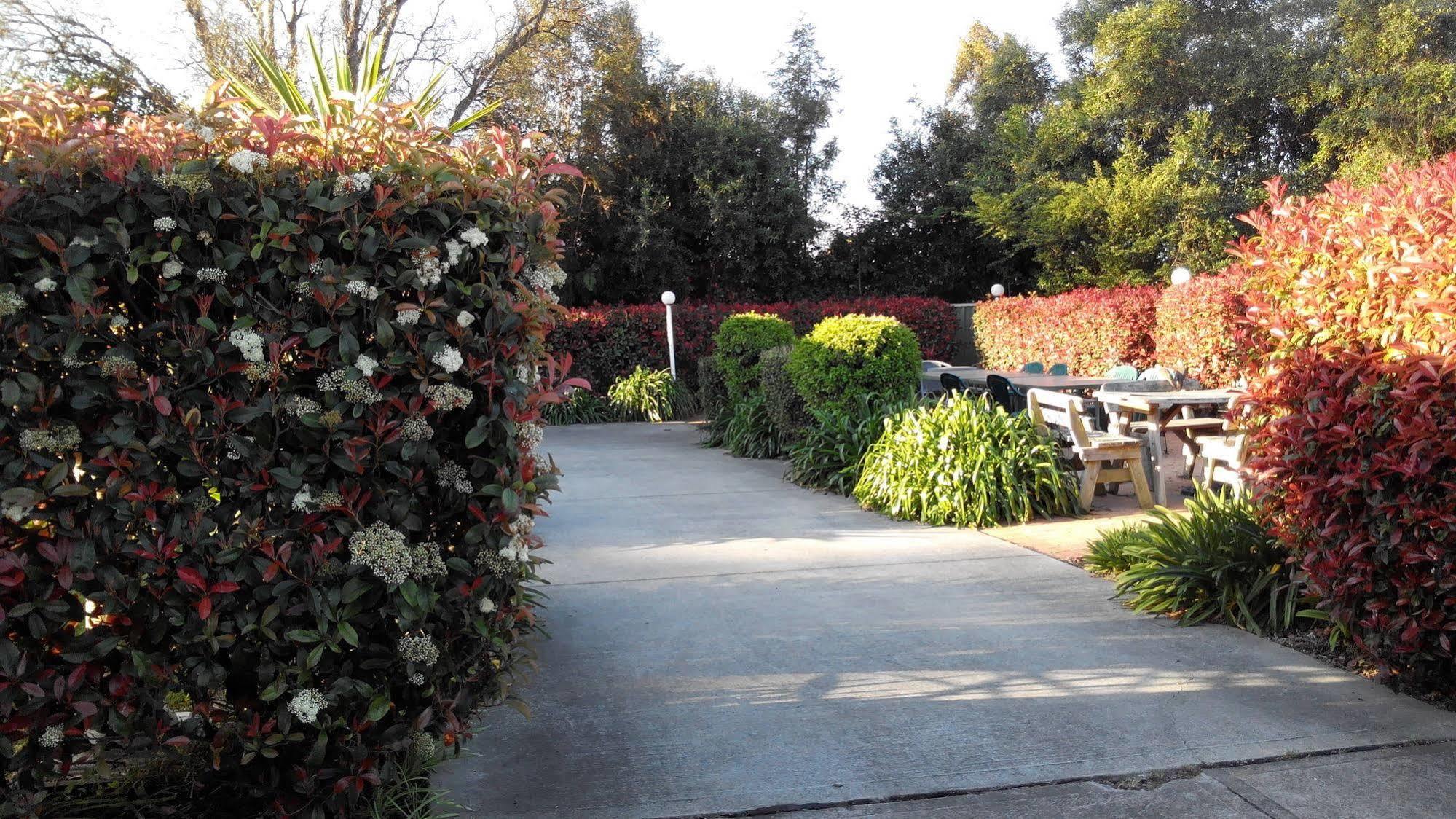 布兰克斯顿汽车旅馆 Branxton 外观 照片